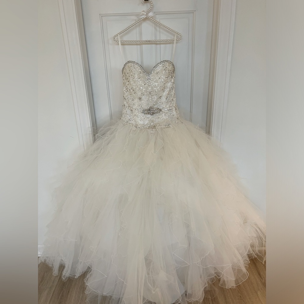 Wedding dress and matching veil